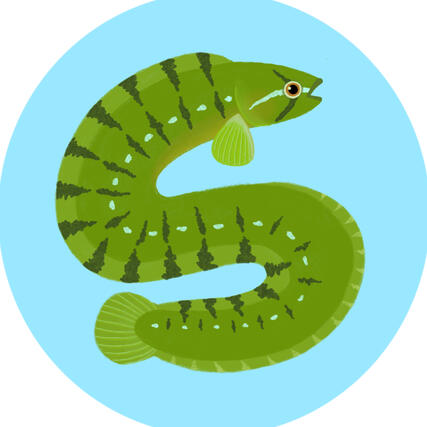 Fishy's favorite fish: Apodichthys flavidus